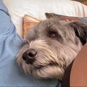 Meet your Posher, Sawanya